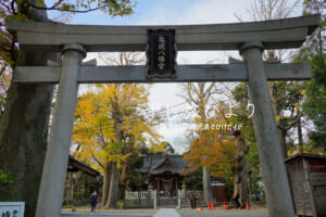 亀岡八幡宮（撮影日：2024.12.11）