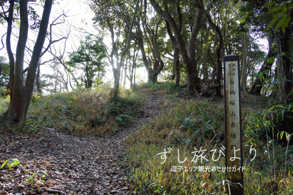 長柄桜山古墳群-第2号墳（撮影日：2020.12.18）