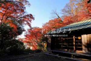蘆花記念公園・モミジの紅葉（撮影日：2023.12.13）