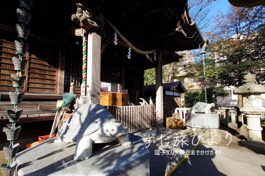 亀岡八幡宮の狛亀（撮影日：2023.01.20）