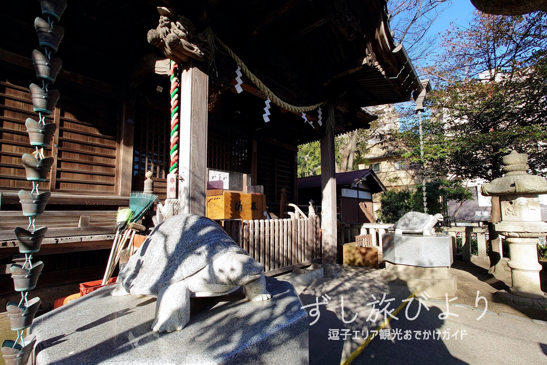 亀岡八幡宮の狛亀（撮影日：2023.01.20）
