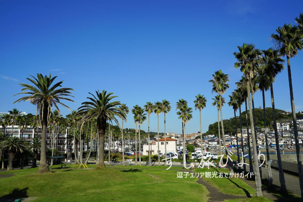 小坪海浜公園（撮影日：2020.10.20）