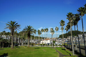 小坪海浜公園（撮影日：2020.10.20）