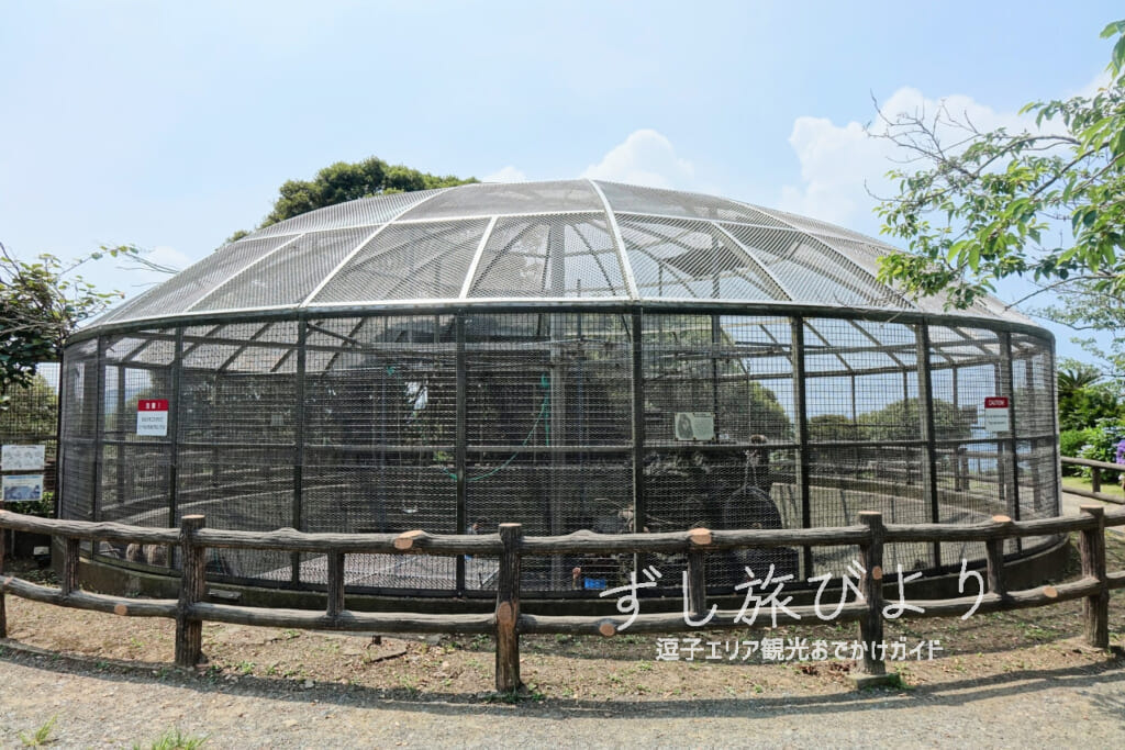 披露山公園・猿舎（撮影日：2021.06.15）