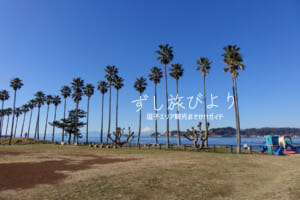 小坪飯島公園（撮影日：2021.12.21）