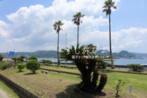 浪子不動園地（撮影日：2021.06.15）