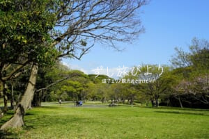 池子の森自然公園・緑地エリアの芝生広場（撮影日：2021.04.03）