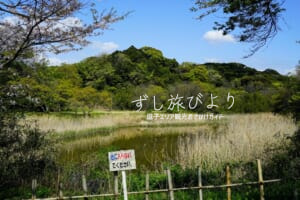 池子の森自然公園・緑地エリアの池（撮影日：2021.04.03）