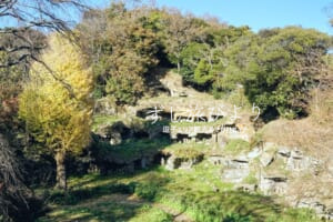 まんだら堂やぐら群・展望台より望む（撮影日：2023.12.04）